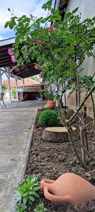 Guest House Palazzo เบียลา ภายนอก รูปภาพ